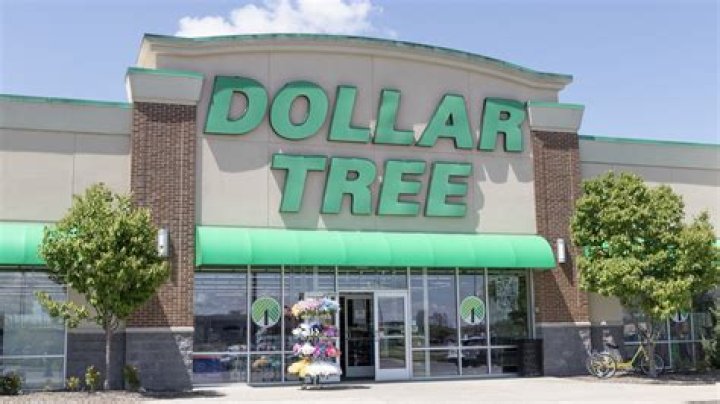 Why Is Dollar Tree Manager Alliah Vasquez Attack Trend on Internet - Arrested For Assaulting Black Male Customer